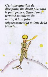 Маленький принц / Le Petit Prince — Антуан де Сент-Экзюпери #9