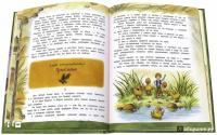 Открой книгу! Чудесное путешествие Нильса с дикими гусями — Сельма Лагерлеф #9
