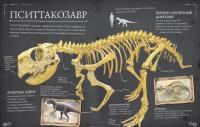 Коллекция костей. Динозавры и другие доисторические животные — Роб Колсон #5