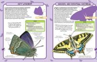 Метелики. Міні-енциклопедія #3