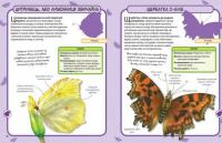 Метелики. Міні-енциклопедія #4