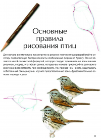 Лоуз как рисовать птиц Лоуз как рисовать птиц