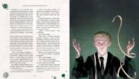 Гарри Поттер и философский камень. Иллюстрированное издание — Джоан Кэтлин Роулинг #5