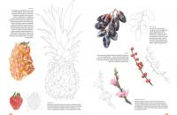 Портреты фруктов и овощей. Практическое руководство по рисованию акварелью — Билли Шоуэлл #2
