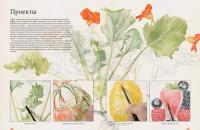 Портреты фруктов и овощей. Практическое руководство по рисованию акварелью — Билли Шоуэлл #5