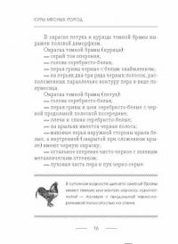Куры мясных пород — Иван Балашов #14