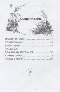 Утиные гонки — Джорджи Адамс #4