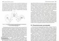 Психология культуры — Анолли Луиджи