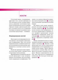 Спортивная анатомия — Торстен Герке купить книгу в Киеве (Украина ...