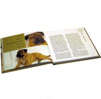 Наши лучшие книги о собаках (комплект из 4 книг) — Джоанна Сандсмарк, Венди Даймонд, Пэтти Гринолл, Кэт Джейвор, Кит Уитфилд