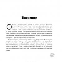 Наши лучшие книги о собаках (комплект из 4 книг) — Джоанна Сандсмарк, Венди Даймонд, Пэтти Гринолл, Кэт Джейвор, Кит Уитфилд