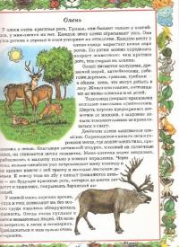 Природоведение. Первый учебник вашего малыша — Шалаева Галина Петровна