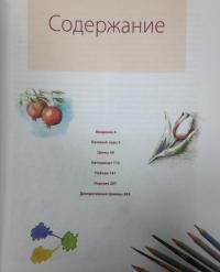 Школа рисования акварелью итальянского мастера — Либралато Валерио, Лаптева Татьяна