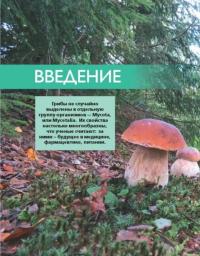 Большая энциклопедия грибника — Матанцев Александр, Матанцева Светлана Григорьевна