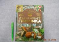 Большая энциклопедия грибника — Матанцев Александр, Матанцева Светлана Григорьевна