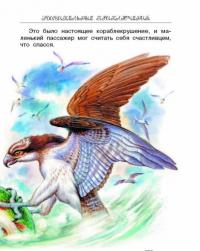 Сказки и рассказы про животных — Бианки Виталий Валентинович