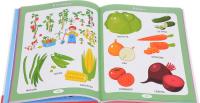 Первая энциклопедия для малышей от 6 месяцев до 3 лет — Тамара Скиба