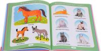 Первая энциклопедия для малышей от 6 месяцев до 3 лет — Тамара Скиба
