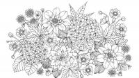 Сумеречный сад — Мария Тролле