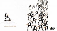 Проблемы пингвинов — Джон Джори