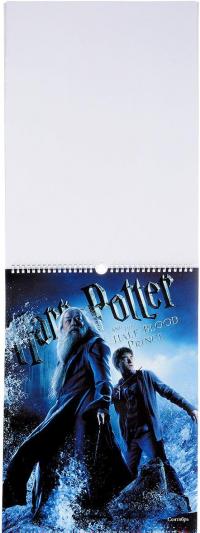 Календарь 2018 (на спирали). Harry Potter