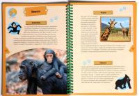 Животные планеты. Интерактивная детская энциклопедия с магнитами — Жан-Мишель Бийу