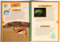 Животные планеты. Интерактивная детская энциклопедия с магнитами — Жан-Мишель Бийу