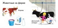 На ферме — Алан Грэ