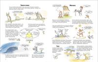 Кошки. О чем говорят животные. Секретная энциклопедия — Франсуа Муту, Софи Жансем #3