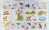 Я учу английский. 1000 животных — Агнес Бессон #6