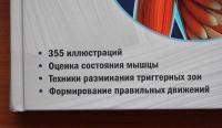Прикладная кинезиология. Восстановление тонуса и функций скелетных мышц — Васильева Людмила Федоровна #16