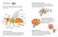 Как живет пчелка. Познавательные истории — Фридерун Райхенштеттер #6