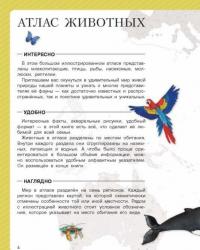 Всё, что нужно знать малышу — Дмитриева Валентина Геннадьевна, Глотова Вера Юрьевна, Доманская Людмила Васильевна #11