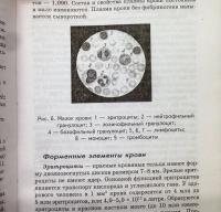 Анатомия и физиология человека с основами общей патологии — Швырев Александр Андреевич #3