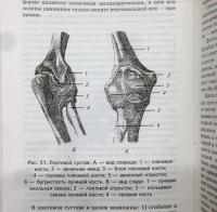 Анатомия и физиология человека с основами общей патологии — Швырев Александр Андреевич #4