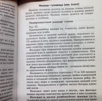 Анатомия и физиология человека с основами общей патологии — Швырев Александр Андреевич #5