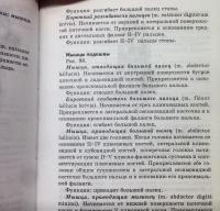 Анатомия и физиология человека с основами общей патологии — Швырев Александр Андреевич #6