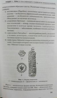 Основы микробиологии и иммунологии. Учебное пособие — Камышева Карина Сергеевна #3