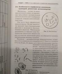 Основы микробиологии и иммунологии. Учебное пособие — Камышева Карина Сергеевна #10