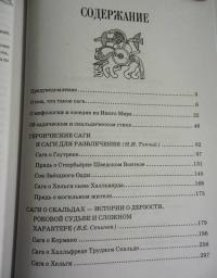 Саги о богах, героях и скальдах Исландии — Сеничев Вадим Евгеньевич, Топчий Надежда Викторовна #4