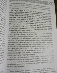 Саги о богах, героях и скальдах Исландии — Сеничев Вадим Евгеньевич, Топчий Надежда Викторовна #8