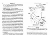 Детские болезни. Учебник для вузов. Том 1 — Шабалов Николай Павлович #1