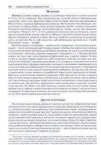 Всё о грибах. Популярная энциклопедия — Вишневский Михаил Владимирович #1