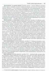 Всё о грибах. Популярная энциклопедия — Вишневский Михаил Владимирович #2