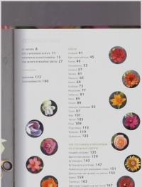 Всем цветы! Роскошные цветочные композиции из бумаги. Практическое руководство для начинающих — Гриффит Лиа #3