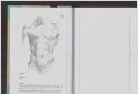 Анатомия для художников #14