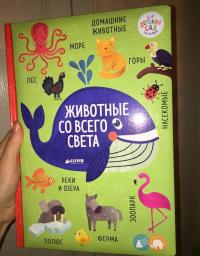 Книжки-картонки. Животные со всего света — Уткина Ольга #25