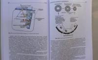 Патофизиология сердца и сосудов. Учебное пособие — Войнов Владимир Антипович #5