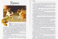 Удивительные судьбы вещей — Тумаринсон Генрих Саулович #6