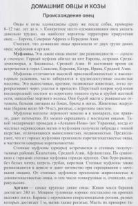 Домашнее овцеводство и козоводство. Учебное пособие — Терентьев Василий Васильевич, Терентьева Маргарита Владимировна, Максимова Ольга Васильевна #4